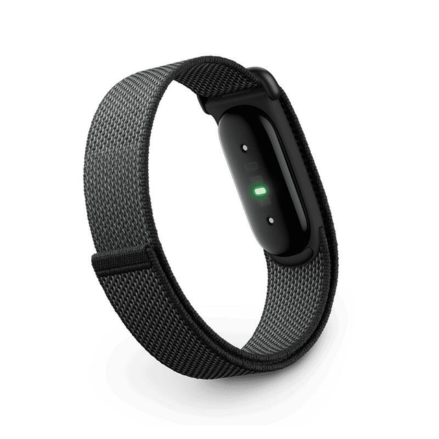 Google Fitbit Air Berry