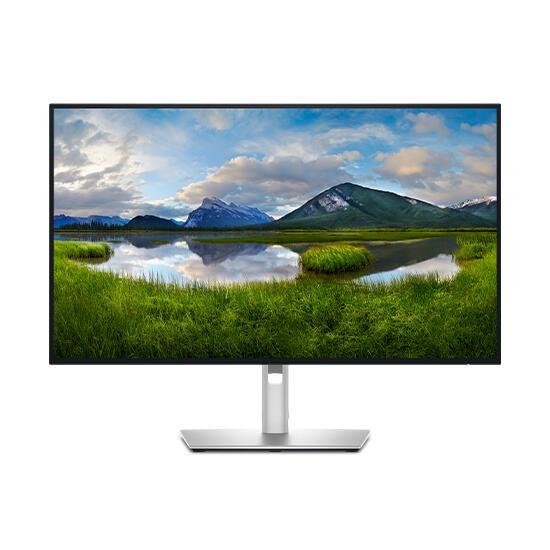 Dell UltraSharp 27 4K Monitor U2725QE 210-BQTL_GE Silver