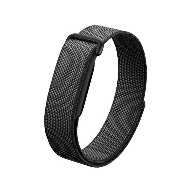 Google Fitbit Air Berry