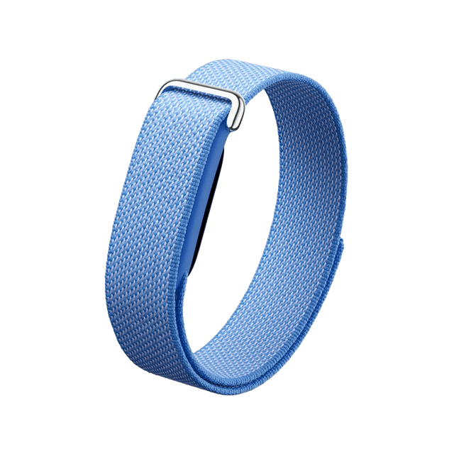 Google Fitbit Air Berry