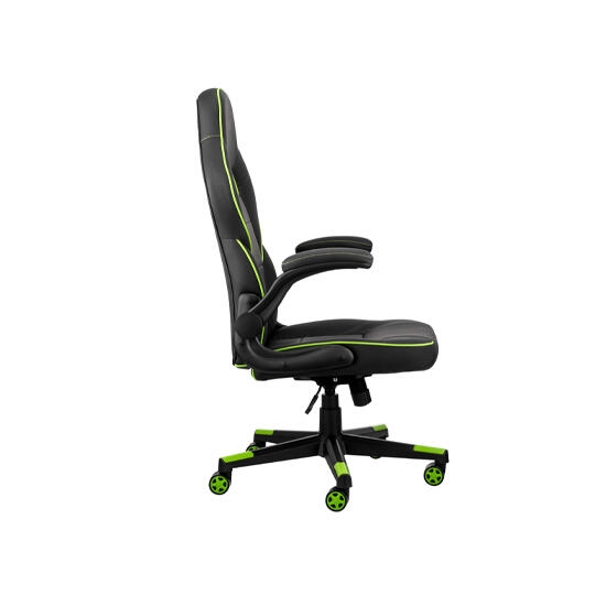 2E Gaming Chair Hebi Black/Green