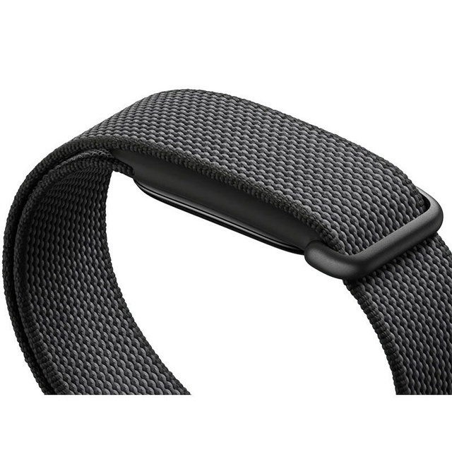 Google Fitbit Air Berry