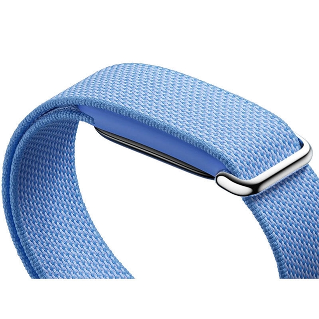 Google Fitbit Air Berry