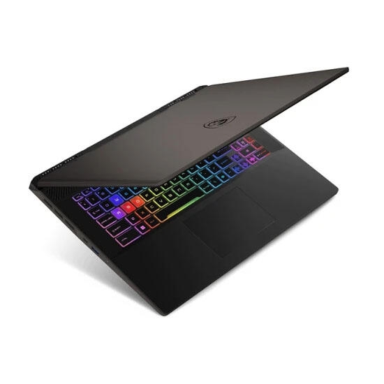 MSI Sword 17 9S7-17T214-279 Black