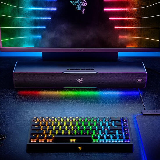 Razer Leviathan V2 Black