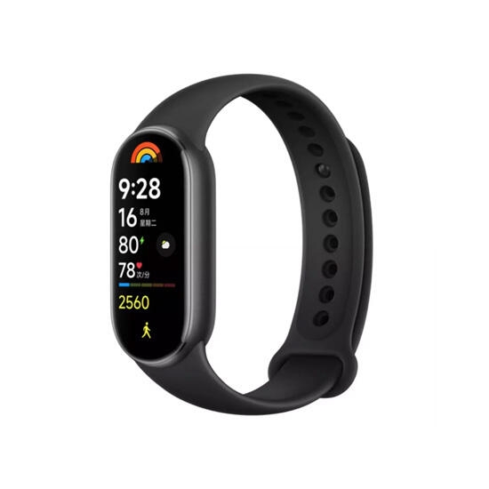 Xiaomi Smart Band 9 Silver