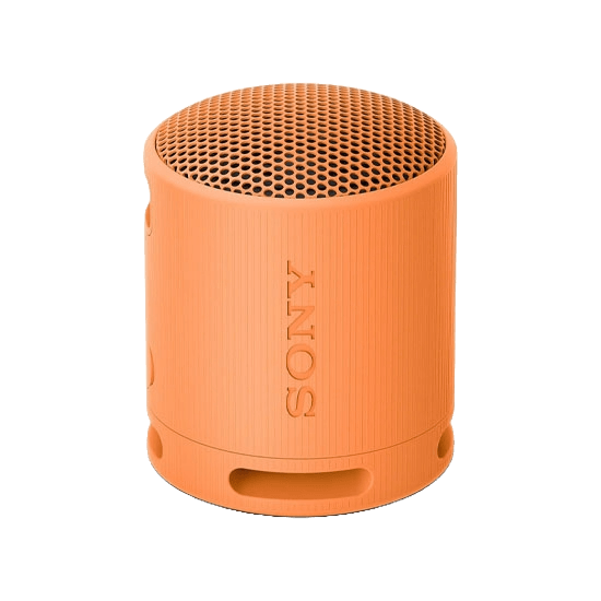 Sony SRS-XB100 Wireless Speaker Black