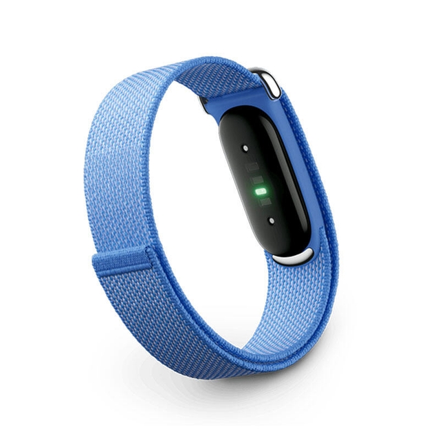 Google Fitbit Air Berry