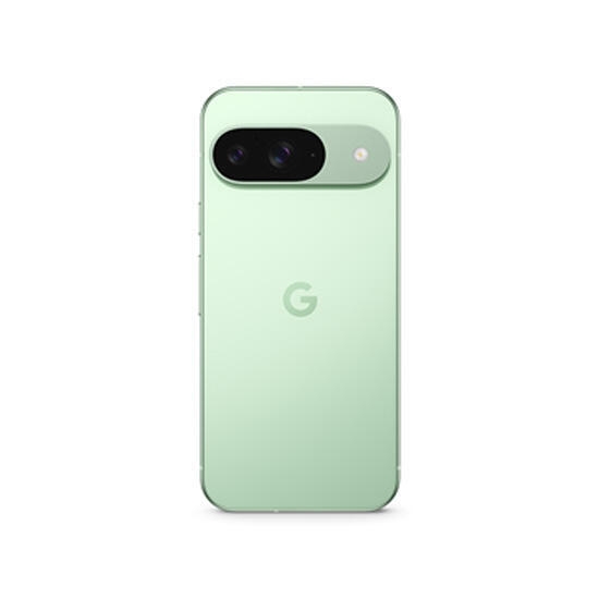 Google Pixel 9 12/256GB WinterGreen