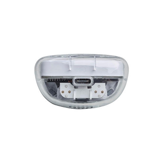 JBL Tune Flex Ghost Black