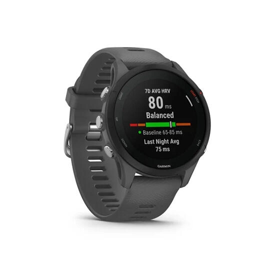 Garmin Watch Forerunner 255 46mm Slate Gray