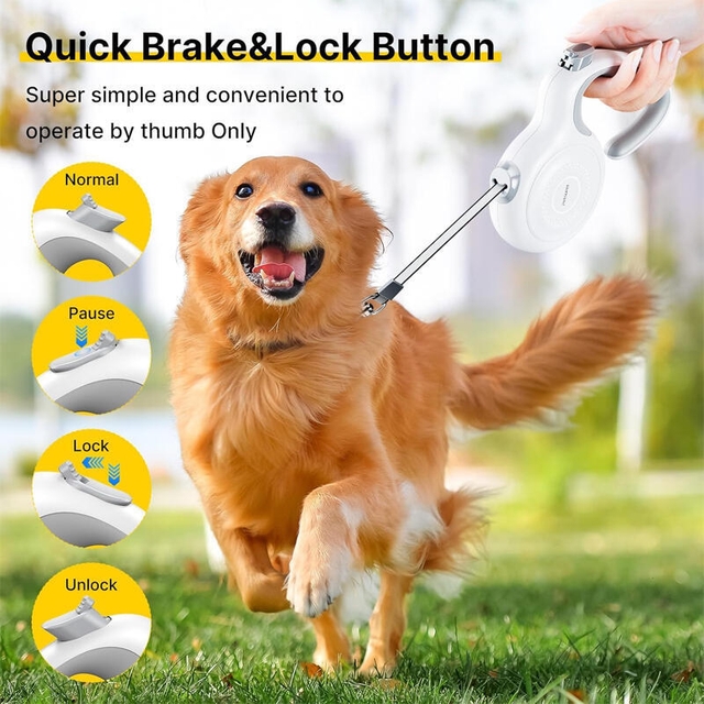 Petsuper Retractable Leash PL02 White