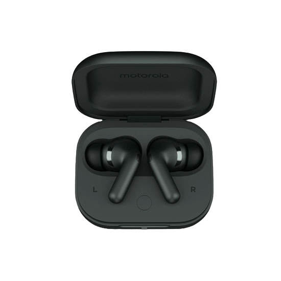 Motorola Moto Buds+ Darkest Spruce