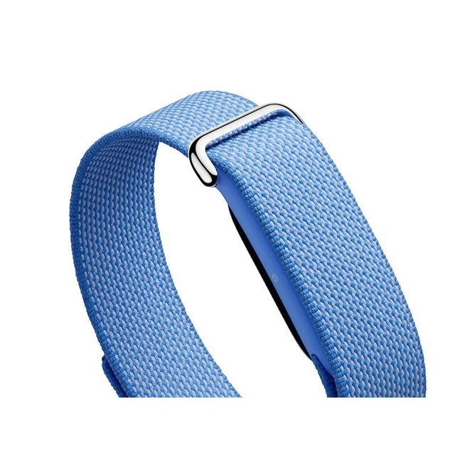 Google Fitbit Air Berry