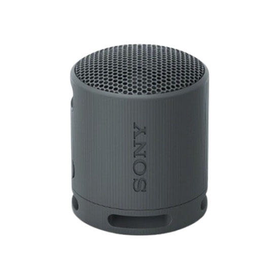 Sony SRS-XB100 Wireless Speaker Black