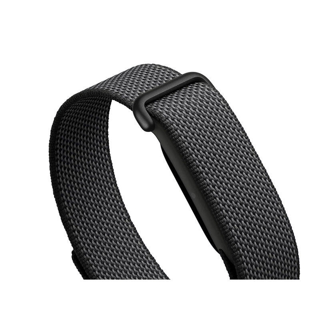 Google Fitbit Air Berry