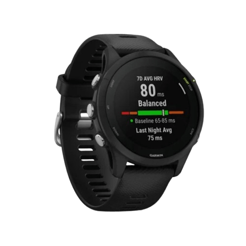 Garmin Watch Forerunner 255 46mm Slate Gray