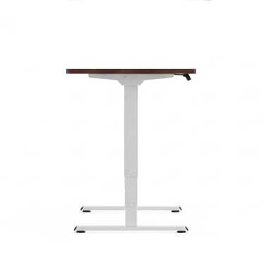 Flexispot Dual-Motor Desk E5 lite Mahogany