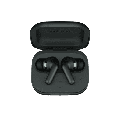 Motorola Moto Buds+ Darkest Spruce